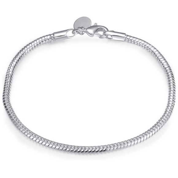 Sterling Silver Charm Bracelet Snake Chain - Picture 1 of 5